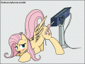 tumblr_m6jq2ze1UJ1rxd0yno1_500.gif